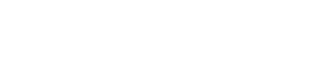 FTM Steriway